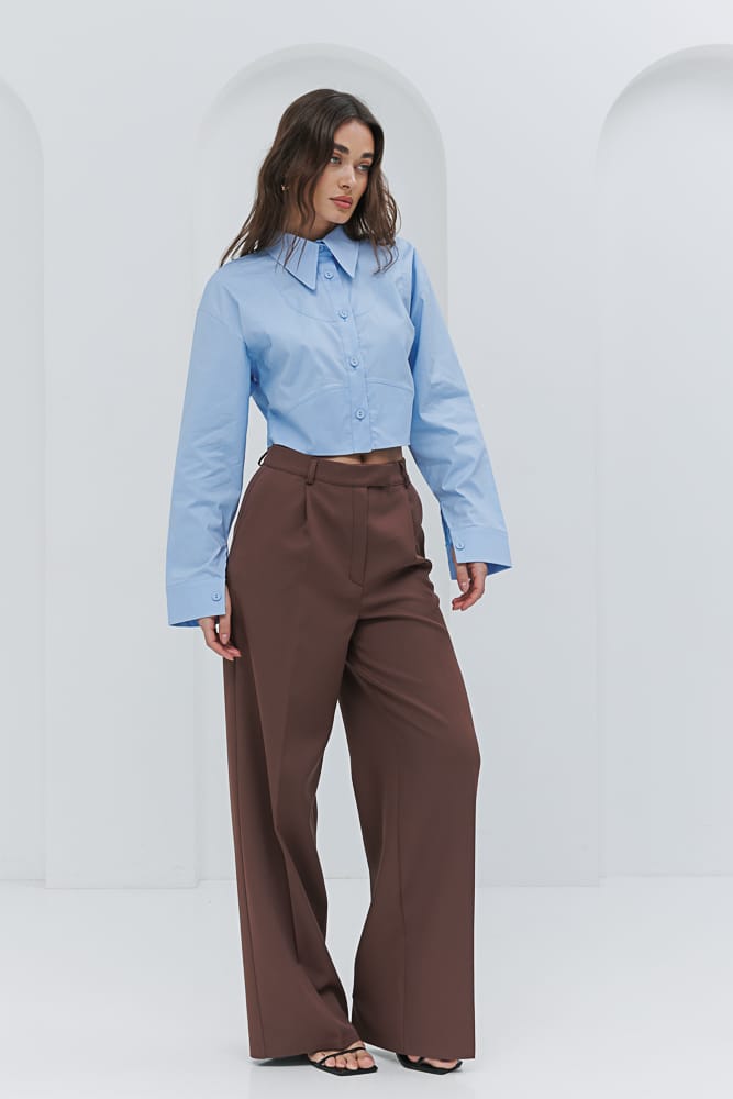 Women's cropped blue shirt with front seams