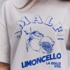 Жіноча футболка сіра з синім принтом AMALFI Limoncello
